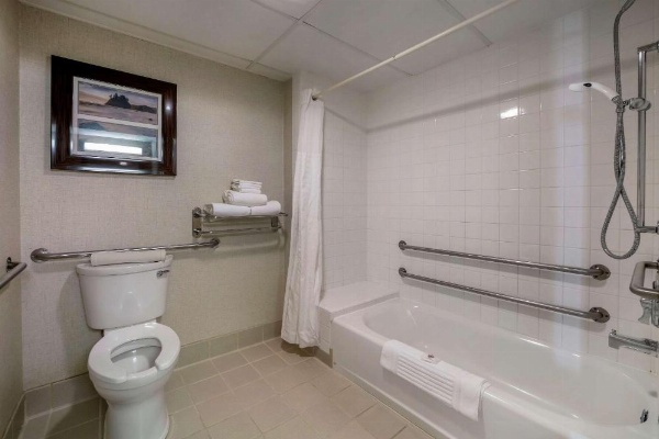 Comfort Inn Humboldt Bay - Eureka image 10