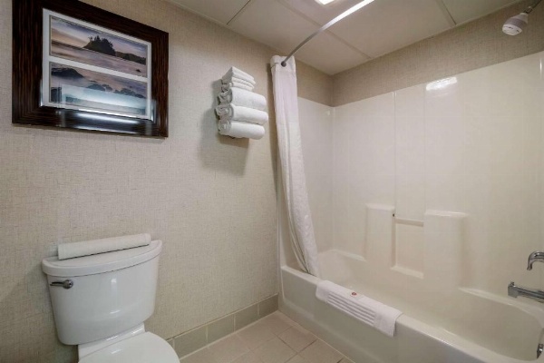 Comfort Inn Humboldt Bay - Eureka image 12