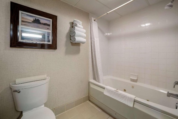 Comfort Inn Humboldt Bay - Eureka image 4